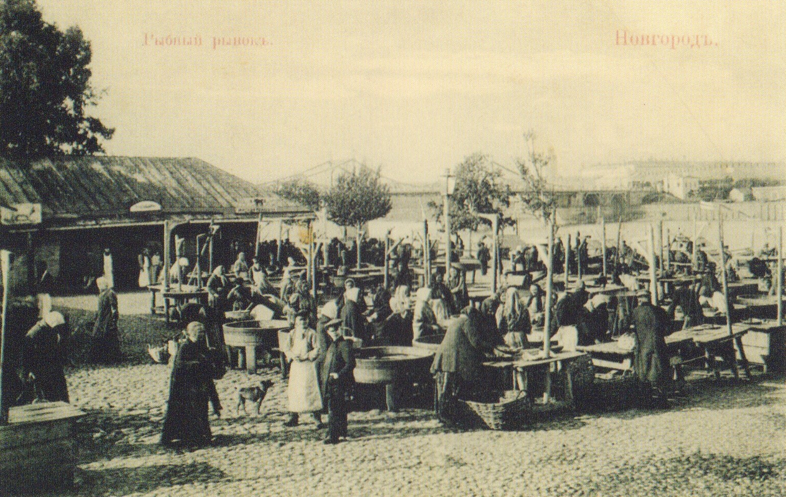 historical_reference/6/829f374d-d5ad-4bba-8275-216afa7145d01769773221